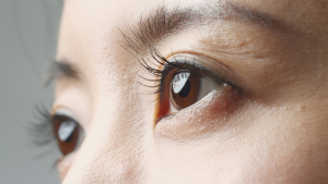 Types of False Eyelashes You Must Know for a Perfect Look