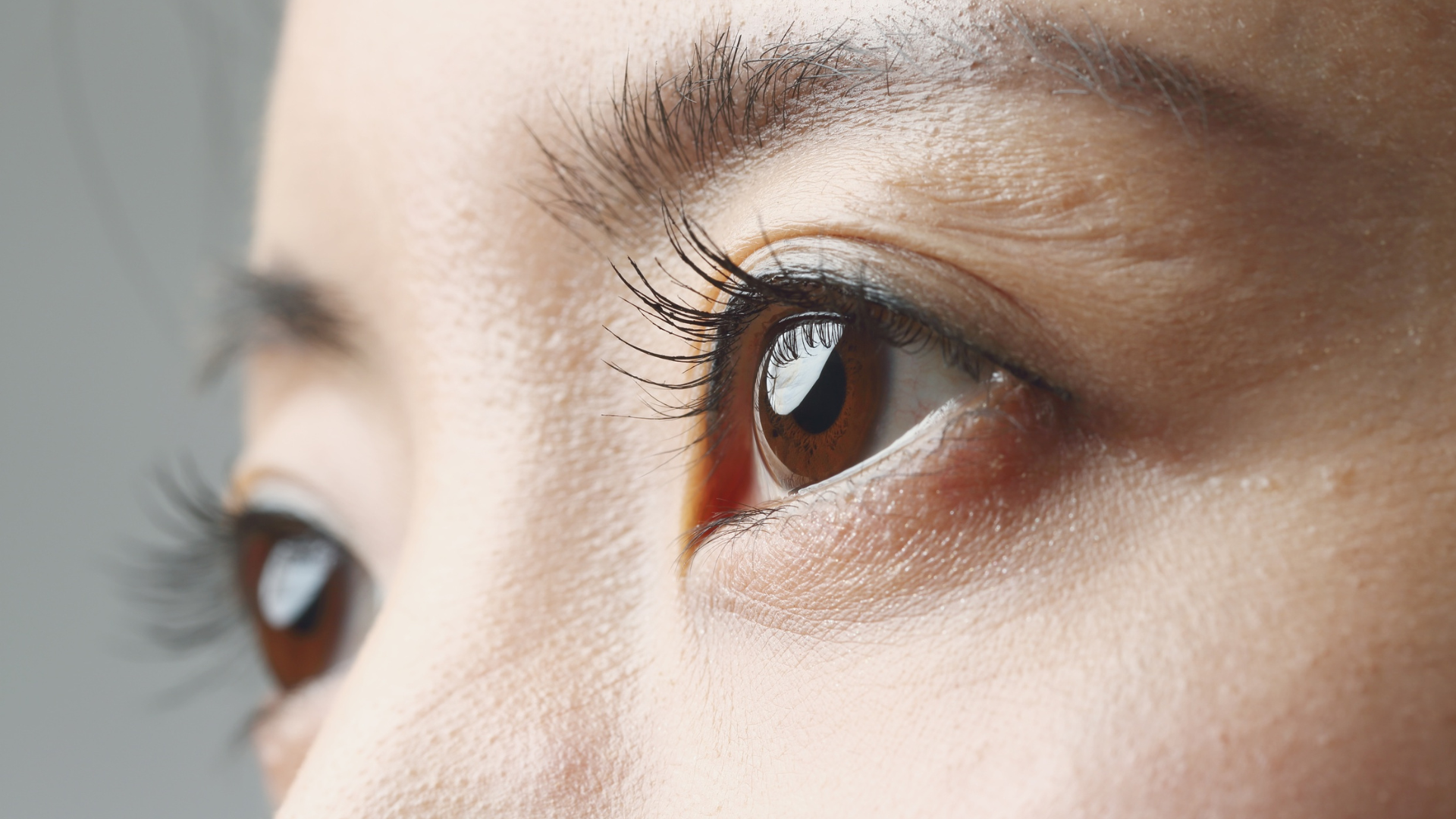 Types of False Eyelashes You Must Know for a Perfect Look