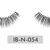 IB-N-054