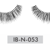 IB-N-053