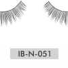 IB-N-051