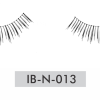 IB-N-013