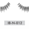 IB-N-012