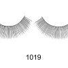 IB-SS-1019