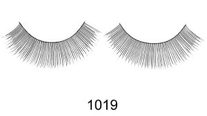 IB-SS-1019