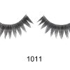 IB-SS-1011