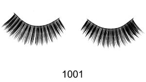 IB-SS-1001