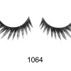 IB-SS-1064