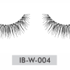 IB-W-004
