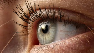 The Secret Behind the Premium Quality of Indonesian-Made False Eyelashes